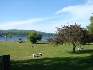 Battlefield Park