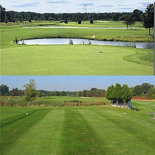 Tee Bird Golf Club with Driving Range