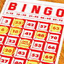 Bingo