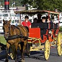 Horsedrawn Carriage Rides