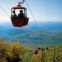 Gondola Rides