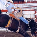 Rodeo