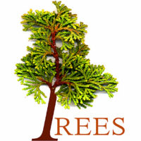 TREES Adirondack Gifts & Books