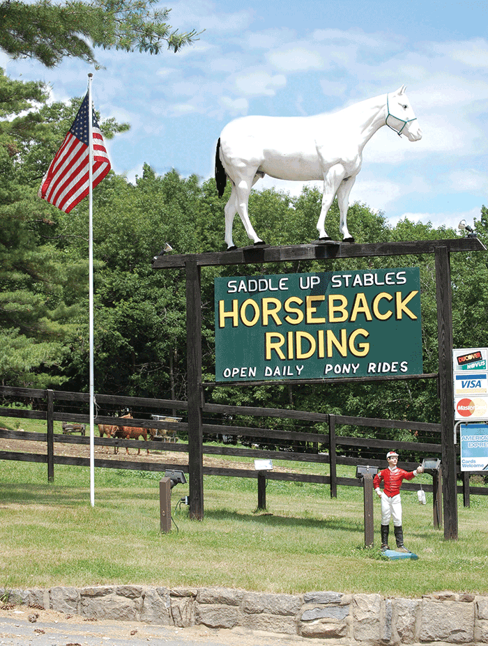 SaddleUp Stables Lake NY Horseback Riding