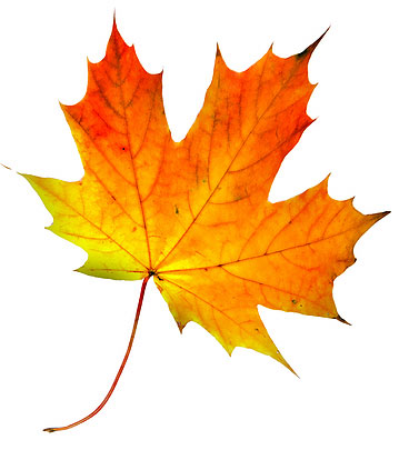 Fall Leaf Change | Lake George Guide