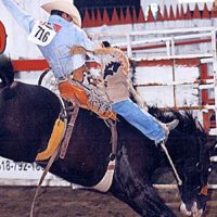 Painted Pony Rodeo